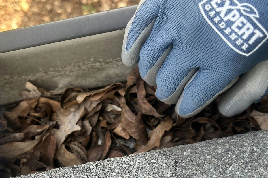 Gutter Cleaning Louisville KY