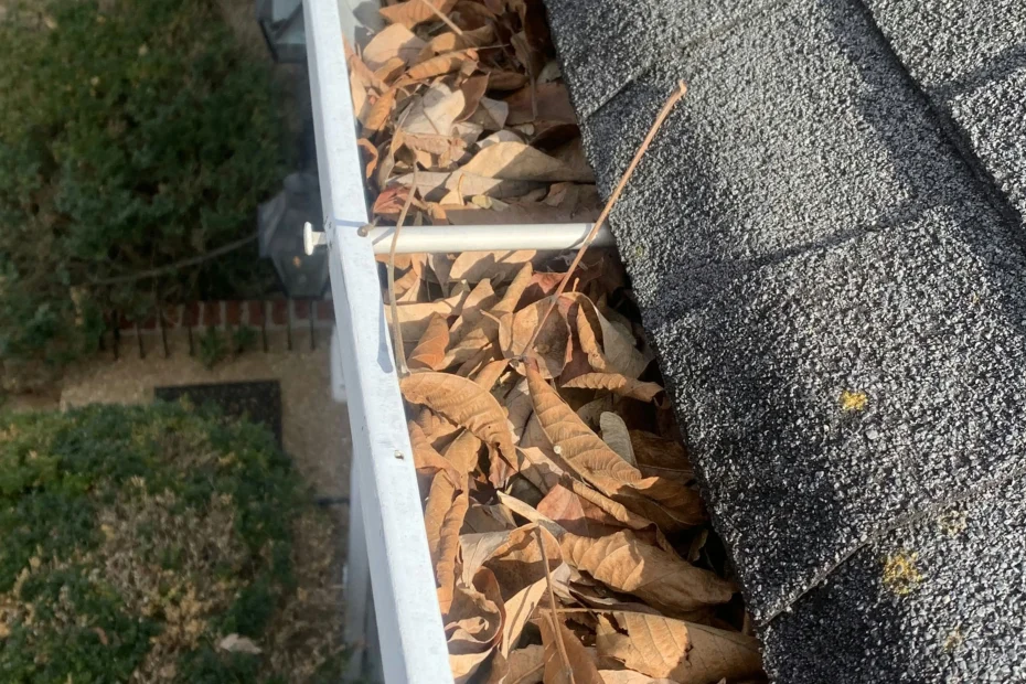 Gutter Cleaning Louisville KY